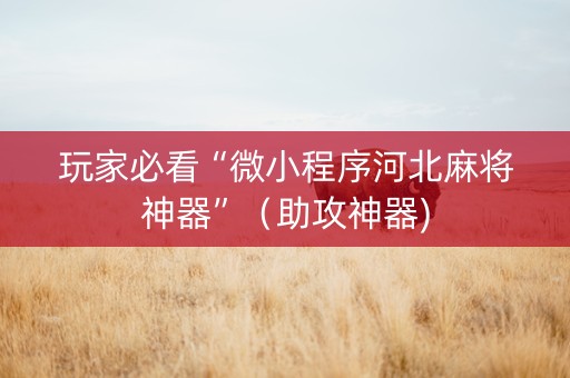 玩家必看“微小程序河北麻将神器”（助攻神器)