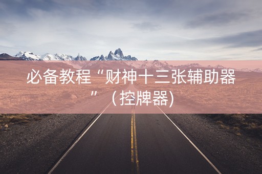 必备教程“财神十三张辅助器”（控牌器)