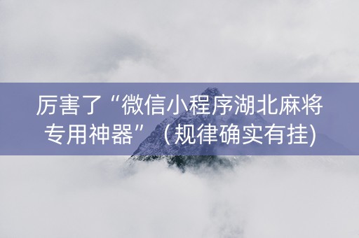 厉害了“微信小程序湖北麻将专用神器”（规律确实有挂)