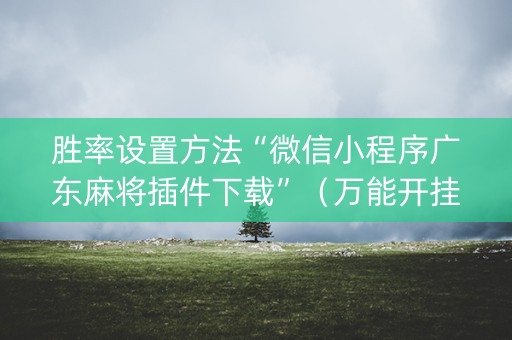 胜率设置方法“微信小程序广东麻将插件下载”（万能开挂器)