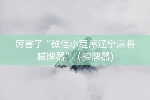厉害了“微信小程序辽宁麻将辅牌器”（控牌器)