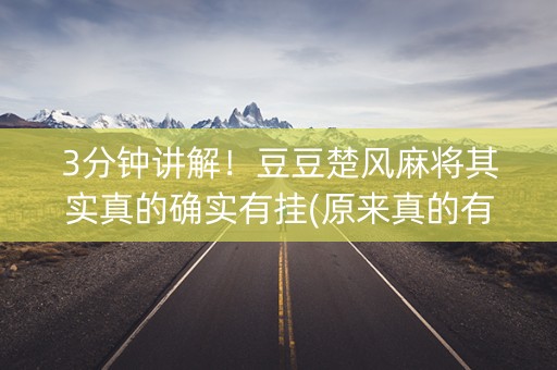 3分钟讲解！豆豆楚风麻将其实真的确实有挂(原来真的有挂)
