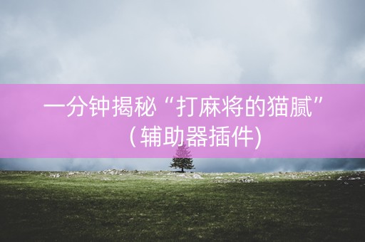 一分钟揭秘“打麻将的猫腻”（辅助器插件)