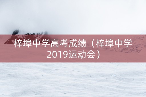 梓埠中学高考成绩（梓埠中学2019运动会）