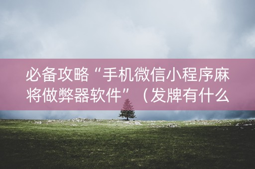 必备攻略“手机微信小程序麻将做弊器软件”（发牌有什么规律吗)