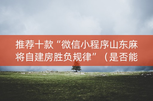 推荐十款“微信小程序山东麻将自建房胜负规律”（是否能开挂)
