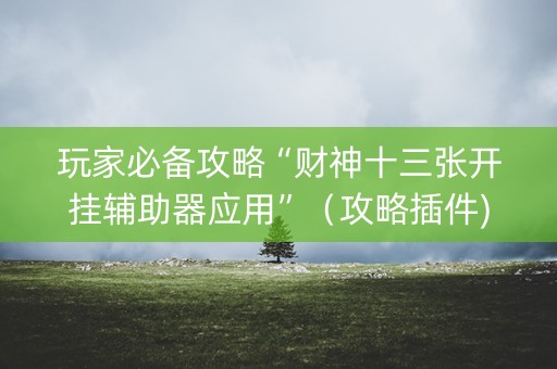 玩家必备攻略“财神十三张开挂辅助器应用”（攻略插件)