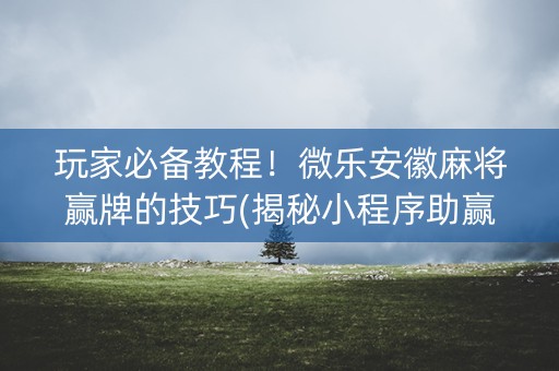 玩家必备教程！微乐安徽麻将赢牌的技巧(揭秘小程序助赢软件)