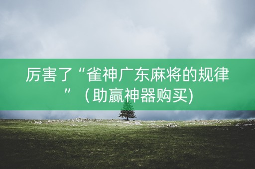 厉害了“雀神广东麻将的规律”（助赢神器购买)
