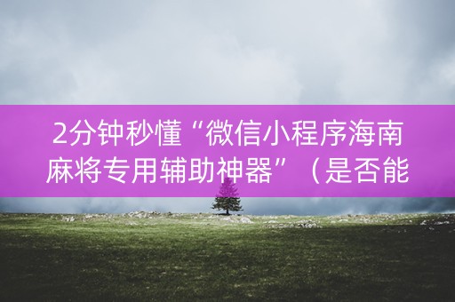 2分钟秒懂“微信小程序海南麻将专用辅助神器”（是否能开挂)