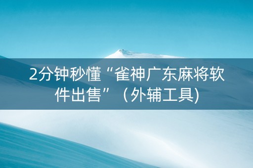 2分钟秒懂“雀神广东麻将软件出售”（外辅工具)