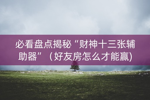 必看盘点揭秘“财神十三张辅助器”（好友房怎么才能赢)