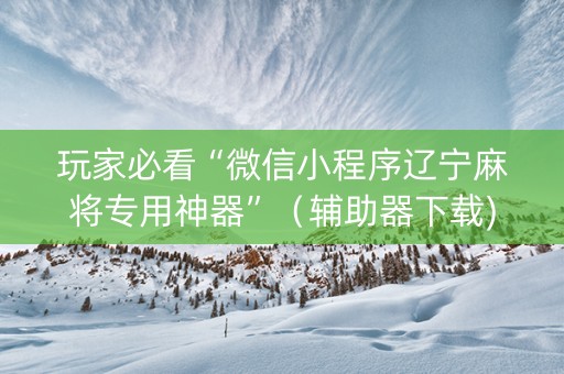 玩家必看“微信小程序辽宁麻将专用神器”（辅助器下载)