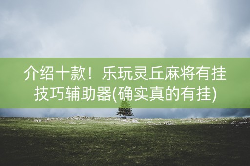 介绍十款！乐玩灵丘麻将有挂技巧辅助器(确实真的有挂)