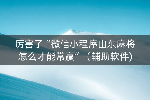 厉害了“微信小程序山东麻将怎么才能常赢”（辅助软件)