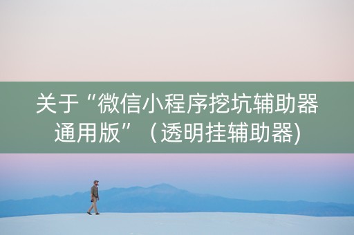 关于“微信小程序挖坑辅助器通用版”（透明挂辅助器)