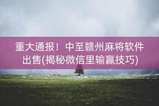 重大通报！中至赣州麻将软件出售(揭秘微信里输赢技巧)