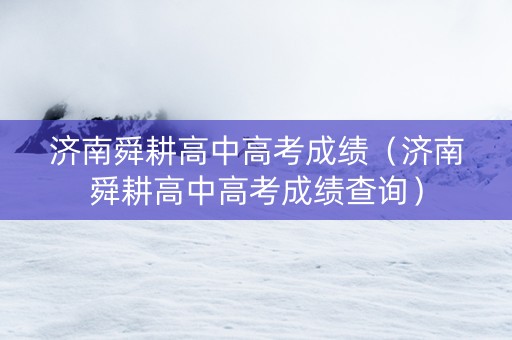 济南舜耕高中高考成绩（济南舜耕高中高考成绩查询）