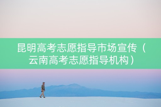 昆明高考志愿指导市场宣传（云南高考志愿指导机构）