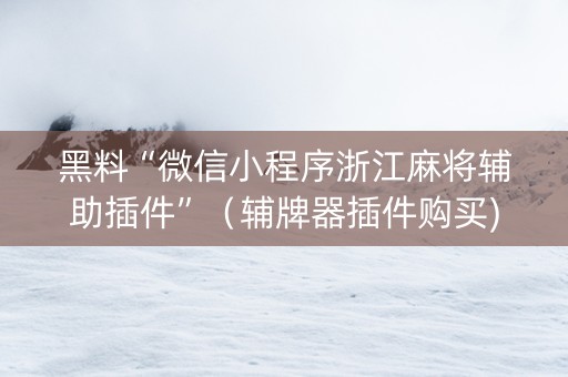 黑料“微信小程序浙江麻将辅助插件”（辅牌器插件购买)
