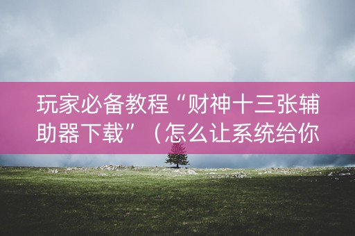 玩家必备教程“财神十三张辅助器下载”（怎么让系统给你发好牌)
