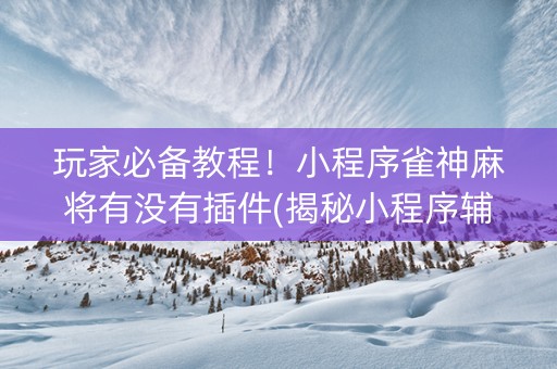 玩家必备教程！小程序雀神麻将有没有插件(揭秘小程序辅牌器)
