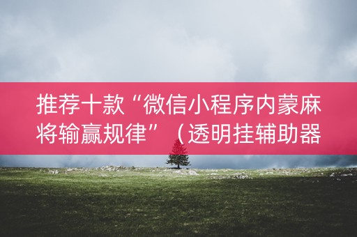推荐十款“微信小程序内蒙麻将输赢规律”（透明挂辅助器)