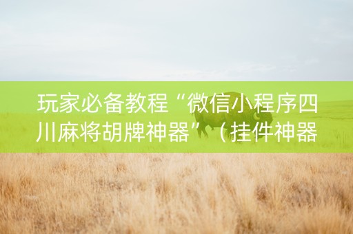 玩家必备教程“微信小程序四川麻将胡牌神器”（挂件神器)