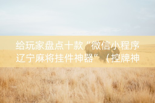 给玩家盘点十款“微信小程序辽宁麻将挂件神器”（控牌神器)