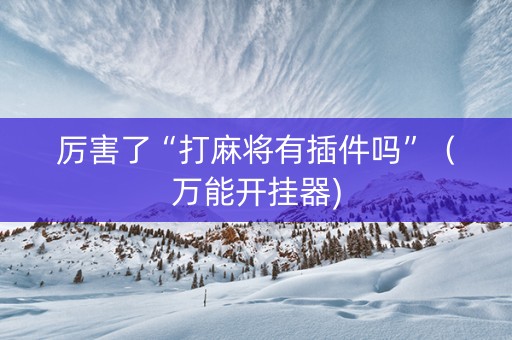厉害了“打麻将有插件吗”（万能开挂器)