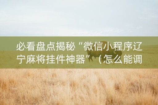 必看盘点揭秘“微信小程序辽宁麻将挂件神器”（怎么能调好牌)