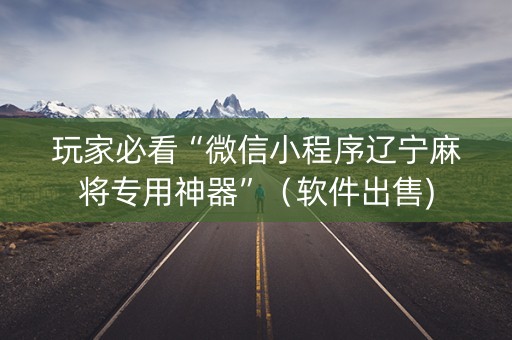 玩家必看“微信小程序辽宁麻将专用神器”（软件出售)