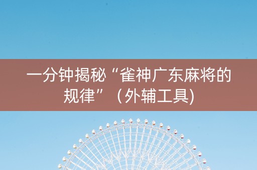 一分钟揭秘“雀神广东麻将的规律”（外辅工具)