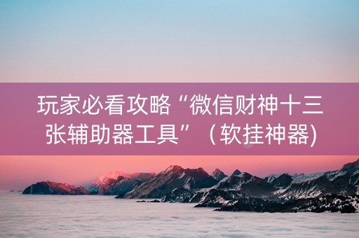 玩家必看攻略“微信财神十三张辅助器工具”（软挂神器)