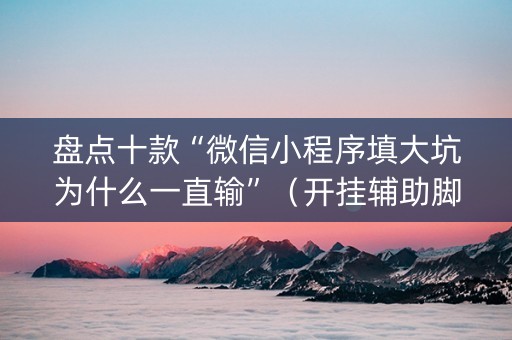 盘点十款“微信小程序填大坑为什么一直输”（开挂辅助脚本)