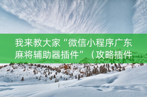 我来教大家“微信小程序广东麻将辅助器插件”（攻略插件)