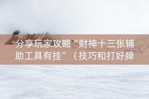 分享玩家攻略“财神十三张辅助工具有挂”（技巧和打好牌方法)