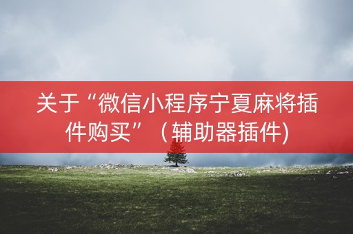 关于“微信小程序宁夏麻将插件购买”（辅助器插件)