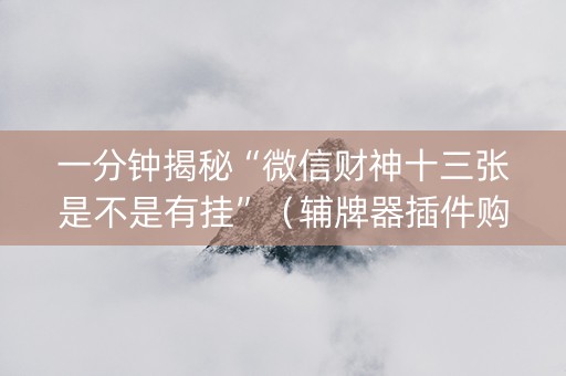 一分钟揭秘“微信财神十三张是不是有挂”（辅牌器插件购买)
