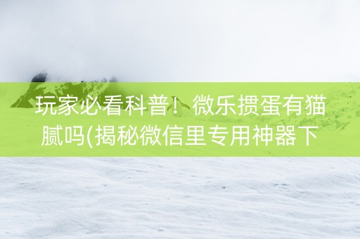 玩家必看科普！微乐掼蛋有猫腻吗(揭秘微信里专用神器下载)