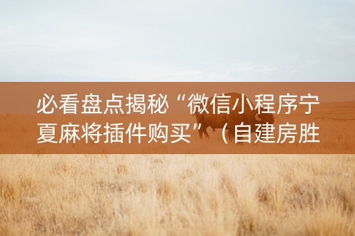 必看盘点揭秘“微信小程序宁夏麻将插件购买”（自建房胜负规律)