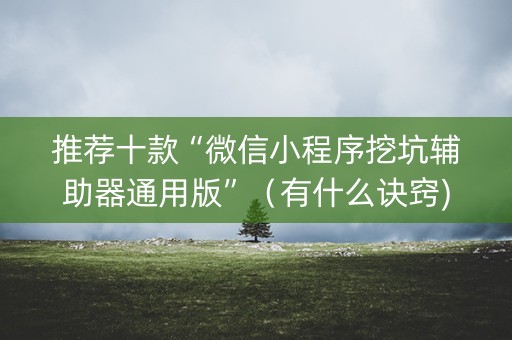 推荐十款“微信小程序挖坑辅助器通用版”（有什么诀窍)