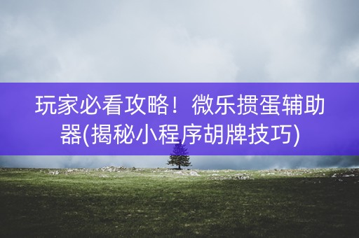 玩家必看攻略！微乐掼蛋辅助器(揭秘小程序胡牌技巧)