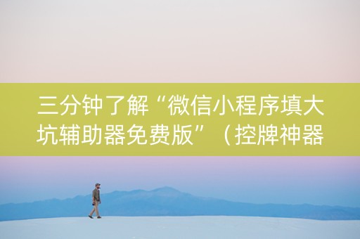 三分钟了解“微信小程序填大坑辅助器免费版”（控牌神器)