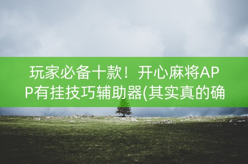 玩家必备十款！开心麻将APP有挂技巧辅助器(其实真的确实有挂)