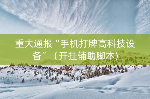 重大通报“手机打牌高科技设备”（开挂辅助脚本)
