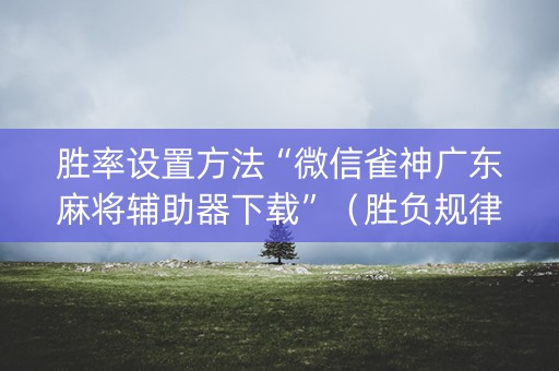 胜率设置方法“微信雀神广东麻将辅助器下载”（胜负规律拿好牌)