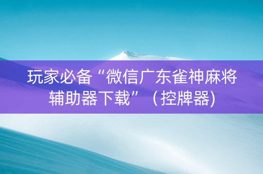 玩家必备“微信广东雀神麻将辅助器下载”（控牌器)