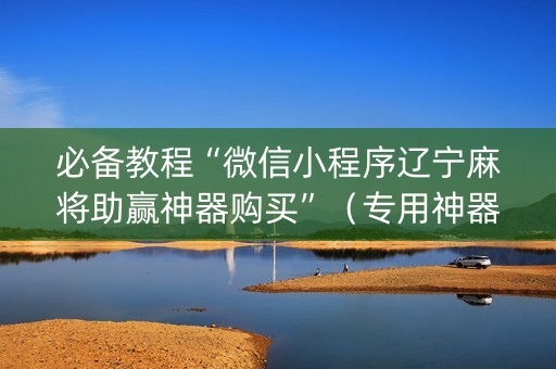 必备教程“微信小程序辽宁麻将助赢神器购买”（专用神器)