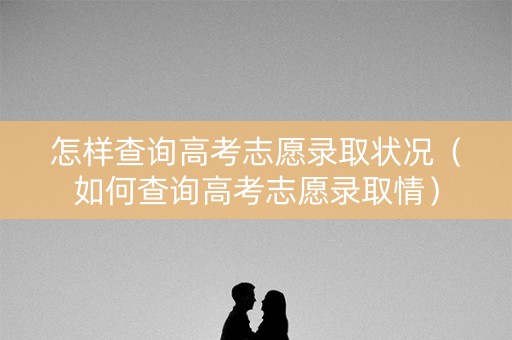 怎样查询高考志愿录取状况（如何查询高考志愿录取情）